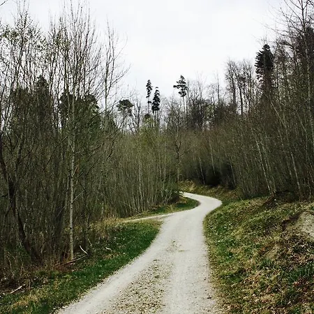 Blume Post Albstadt